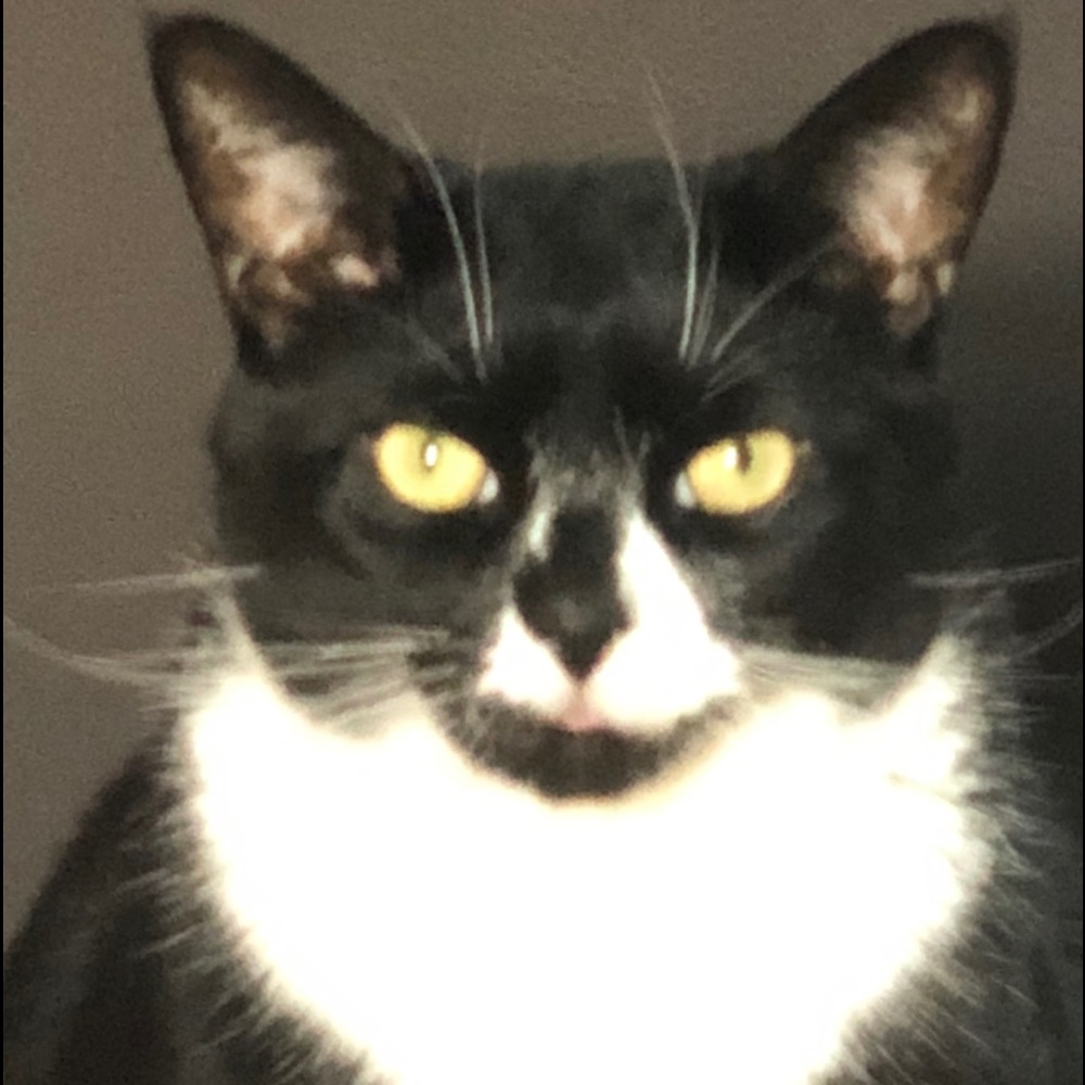 Meet your Posher, Stan